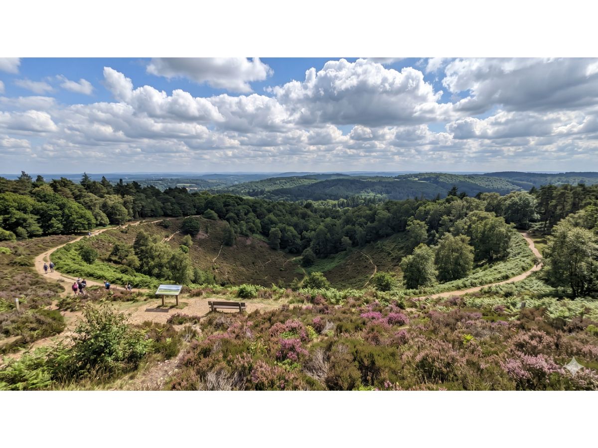 View from Gibbet Hill over the Devil's Punch Bowl, Hindhead, Surrey — heathland, heather, and wooded hills managed by the National Trust